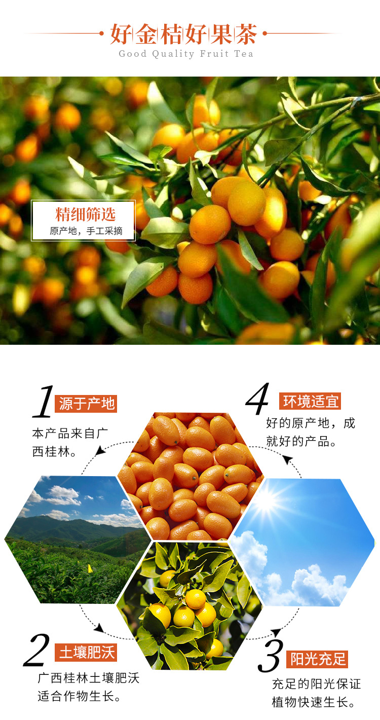 Dried Kumquat Slices (Fortunella margarita) — Guilin Low-Temperature Dried Kumquat for Tea, 500g overview