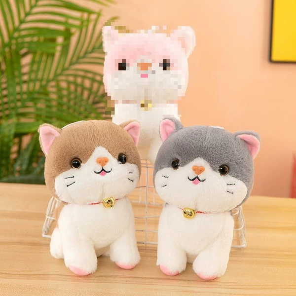 Cute cat