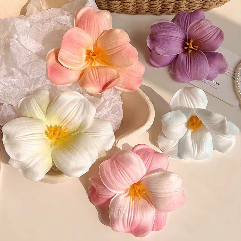 15g Weight Hair Clip Hair Accessories Type 1 Piece Quantity Elegant Sweet Women's Flower Plumeria Foam Hair Clip