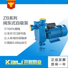 厂家批发ZB自吸式离心泵闽东泵铸铁现货家用增压大流量排污自吸泵
