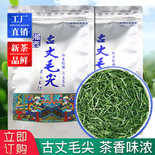 新茶古丈毛尖明前绿茶250g袋装茶叶湖南湘西特产味浓耐泡