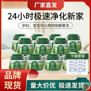 Household Powerful Formaldehyde Remover Jelly 4 Hope 197 New Model Formaldehyde Removal Artifact
