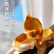 2025��V�|�����Ƥ�|��ţ�ȇ�ԭ֦�����tƤ�������r��֦��Ƥ