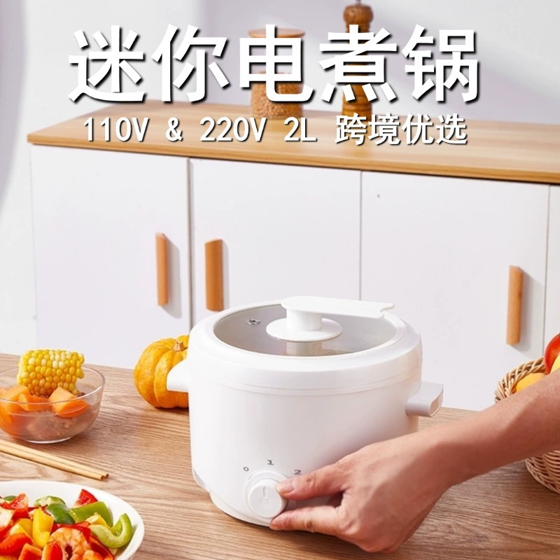 110V220V Вылинин электрический кипяток студентов общежитие горшок горшок Stir-fried Pot интегрированная маленькая электрическая горячая кастрюля
