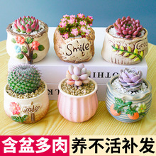 ����ֲ���҃�С�����������մɻ���߶��������҃ȾGֲ��ݗ��