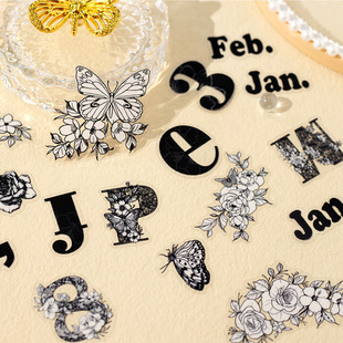 �Լ�PET�N���� ����֮�@ϵ�� �ٽzƴ�N���~DIY�ز��b��N30��6��
