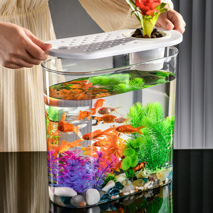 New Household Fish Tank Drying Platform for Small Fish Tank Ecological Landscaping Fish Tank Living Room Small Plastic Fish Tank