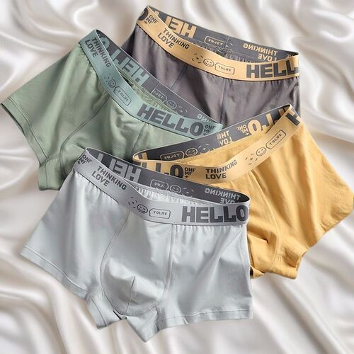 Fashion Underwear 2024 New Men's Antibacterial Letter Comfort Straight Leg Pant Youth Cotton Simple Four-Point Underwear