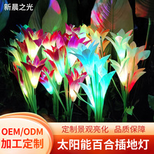 羳̫ܷ滨4^ٺϻͥԺزƺ^b