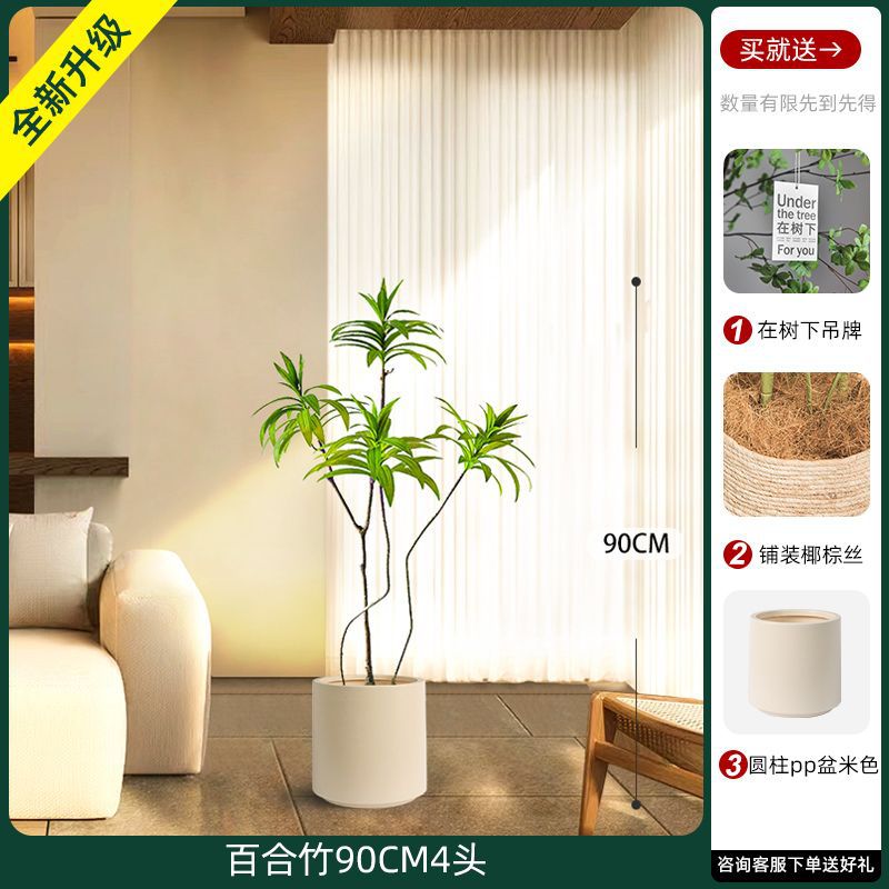 [W Ruyi Bamboo] 90CM4 chậu sâu và cao