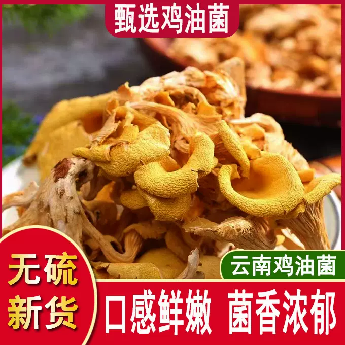 云南特产鸡油菌干蘑菇鸡油菌黄丝菌食用菌榆黄菇干货厂家一件代发