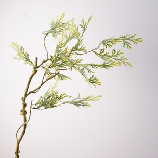 �羳�P���~��֦���滨�߶˻�Y�����ٻ��쾰�º��Ļ�ľ�٘��b�