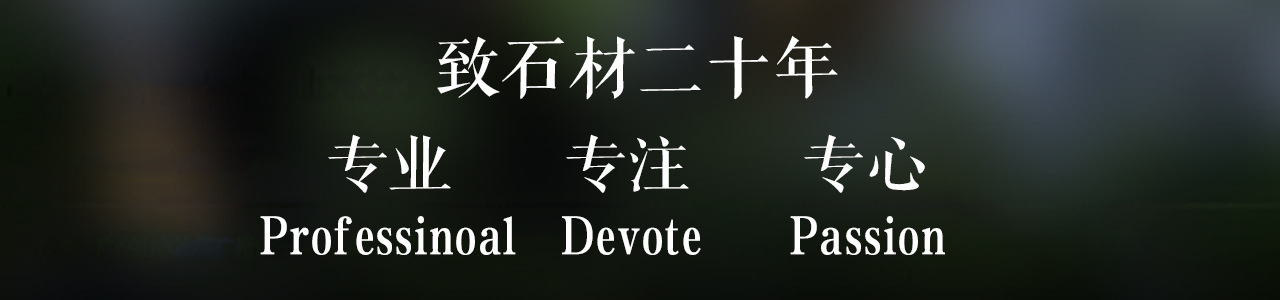 专业-专注-专心