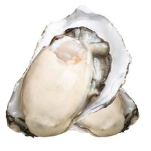 տ��������l���r����S/1������������r���r��ˮ�a�r�����uͨ