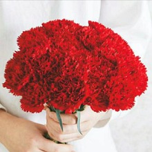 鲜花染料吸色剂 大红色 水性染料高浓度 着色剂 鲜花色素 多种颜