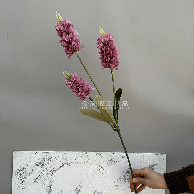 3 포크 라벤더 카메오 퍼플