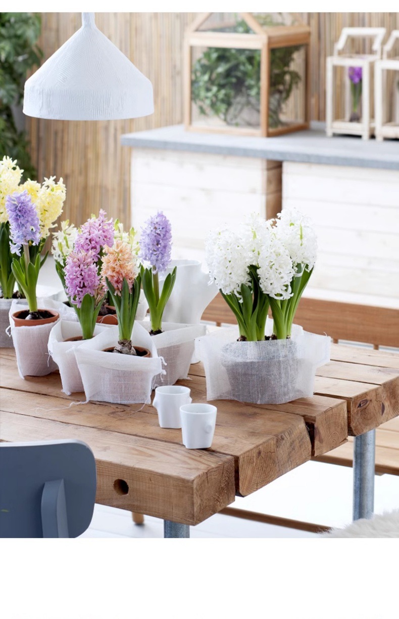 YJH_一键复制_20240722221433