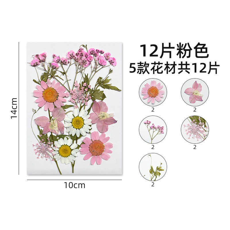ins森系抹茶绿复古手账本东巴手工纸植物diy送朋友礼物小众纪念品|undefined