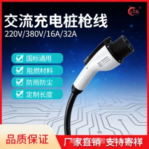 32A 5m Ac Pile Gun Cable Ac Pile Gun Cable New Energy Electric Vehicle Ac Charging Pile Accessories Charger