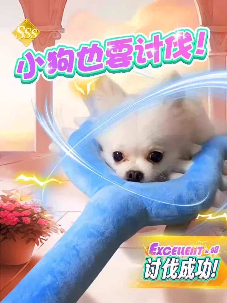 详情图