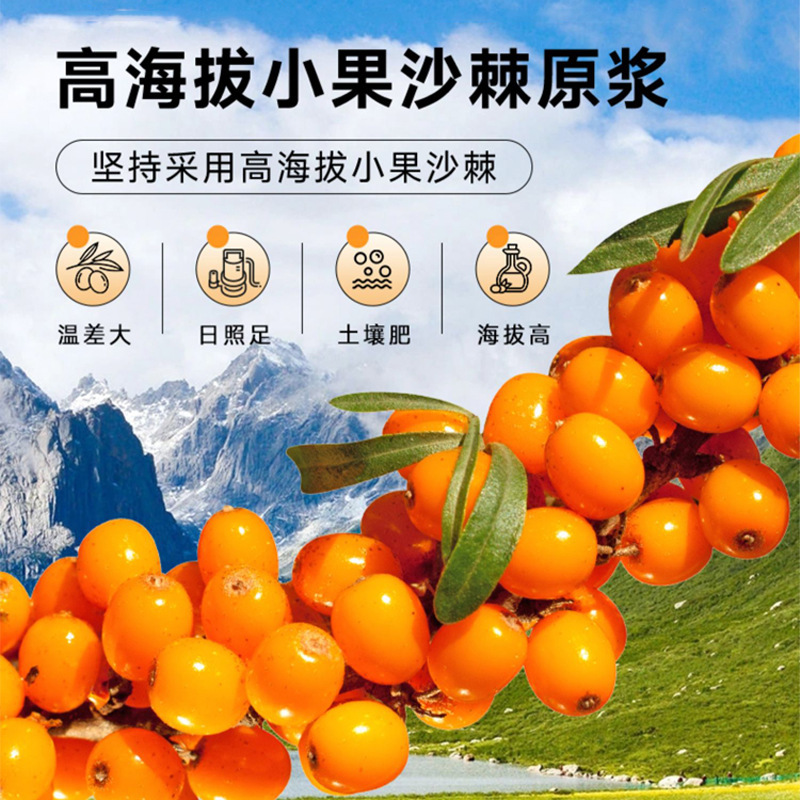 中国の伝統的な薬用植物シーバックソーンピューレ、フレッシュフルーツ、搾りたてのオリジナル液体VCジュース、クコの実、桑の実、nfcフルーツと野菜のジュース、すぐに発送可能|undefined