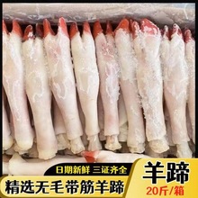 羊蹄子新鲜批发冻羊脚中号整箱20斤38-45个左右冷冻速卖通