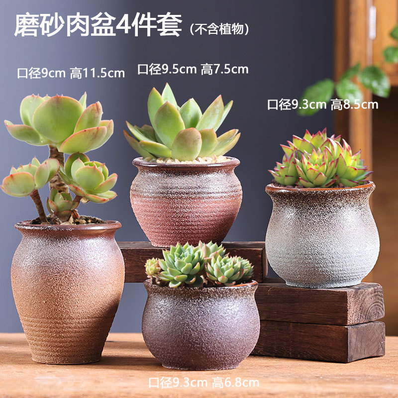 Macetas suculentas oferta especial maceta de cerámica creativa para plantas de carne liquidación venta al por mayor maceta de cerámica directa de fábrica