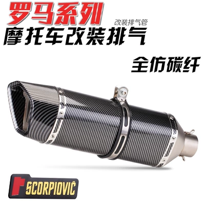 Motorcycle exhaust pipe: Exhaust pipe - full-imitation-carbon-fiber