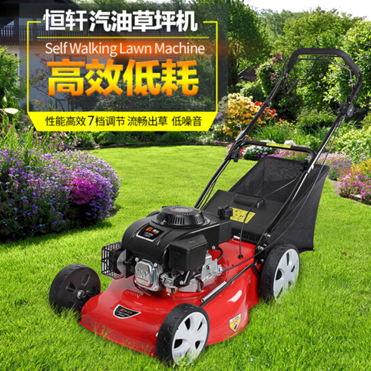 可侧排/草框集草袋手推割草机 草坪修剪造型机器 20寸草坪剪草机