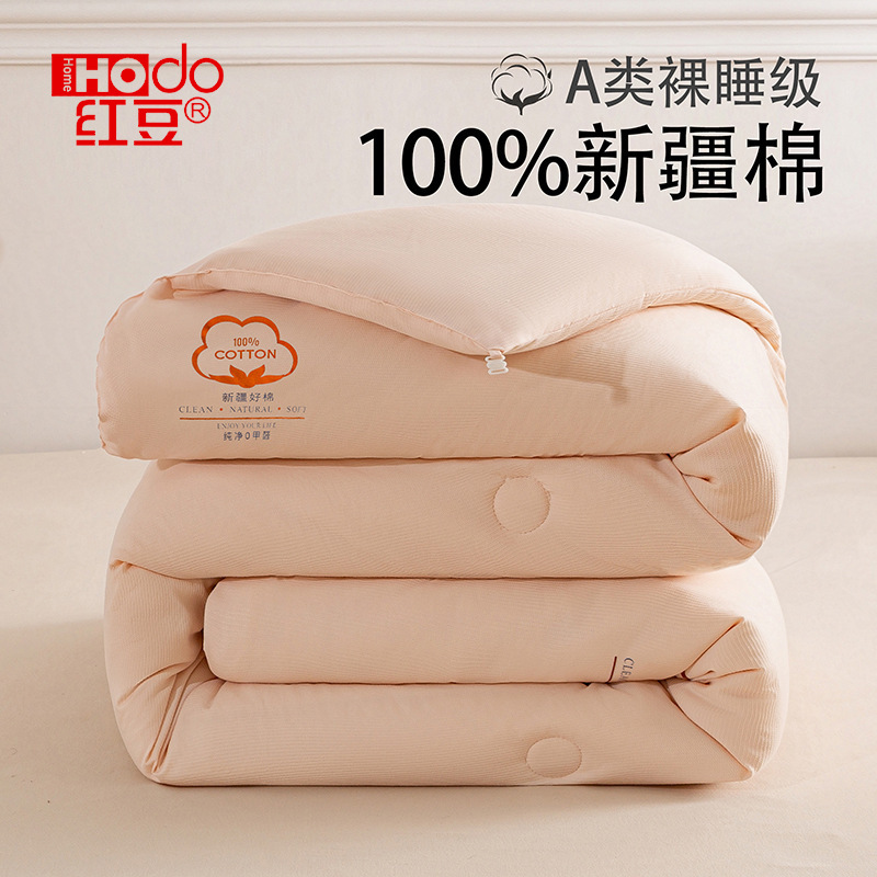 Autumn and Winter Household Quilt Xinjiang Cotton Winter Quilt Quilt Core Mother-In-Law Quilt Dormitory Universal Spring & Fall Quilt Winter Quilt