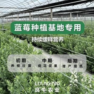 100L�{ݮ���|�M��ԭ���{ݮ�Nֲ���،�������ţ�r�I����Դ�^�S��