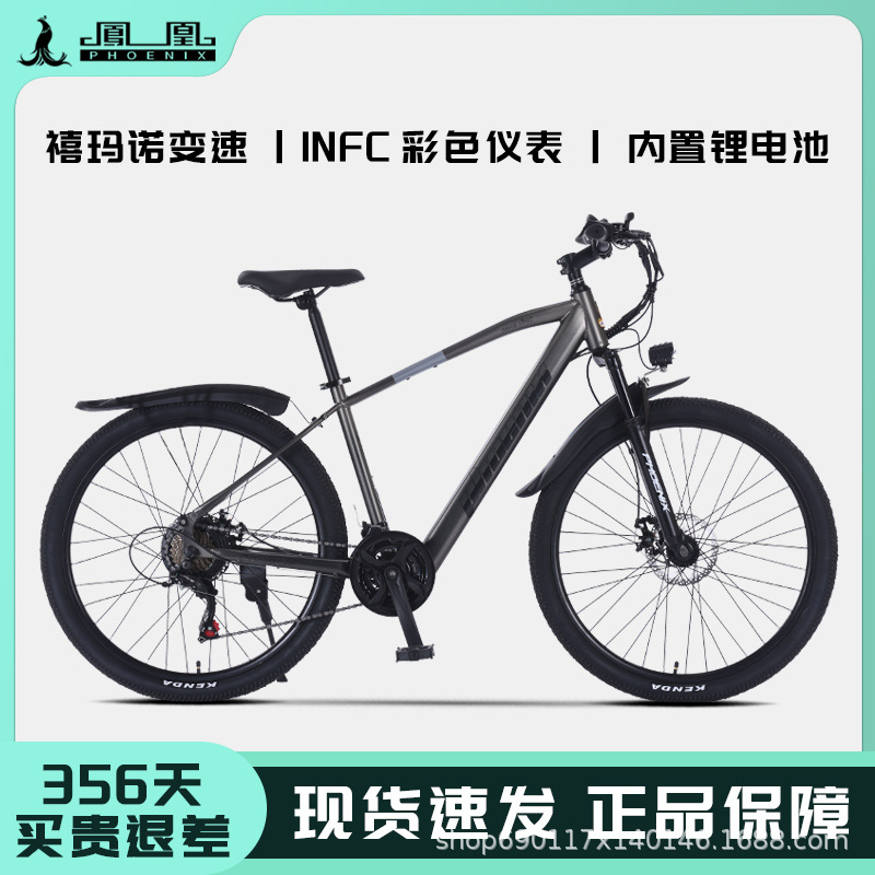 electric bike