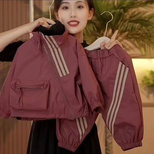 ��ͯ�������b2026�＾�¿ͯ�\�Ӄɼ����_���������e�L�����³�