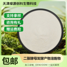 二裂酵母发酵产物溶胞物 化妆品原料 100g/袋 现货包邮