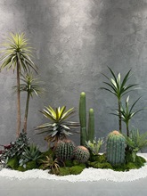 Wtֲ쾰MϟᎧپGֲƘ¿gDǾ^