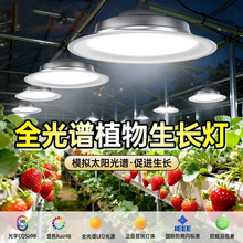 ȫ���V�Gֲ���a��������҃ȶ������绨�ܹ����̨����led���L��