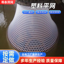 厂家塑料平网养鸡鸭鹅脚踩网鸡床网养蜂网育雏网养鱼网箱防潮垫片