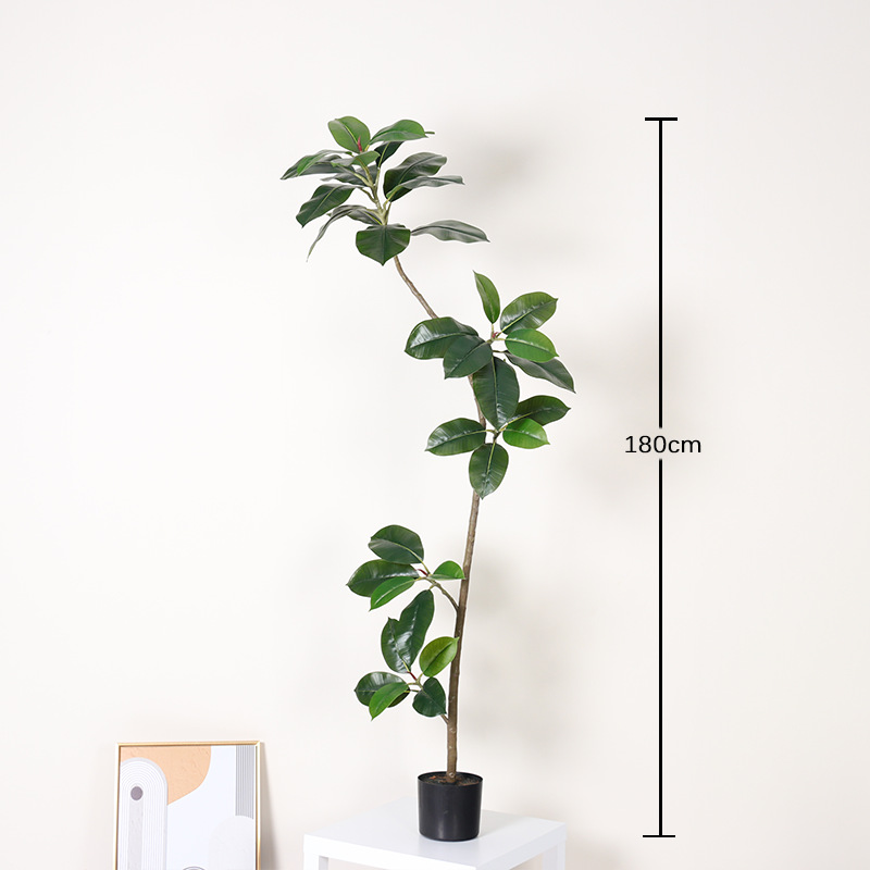 Ficus de hoja verde-180cm