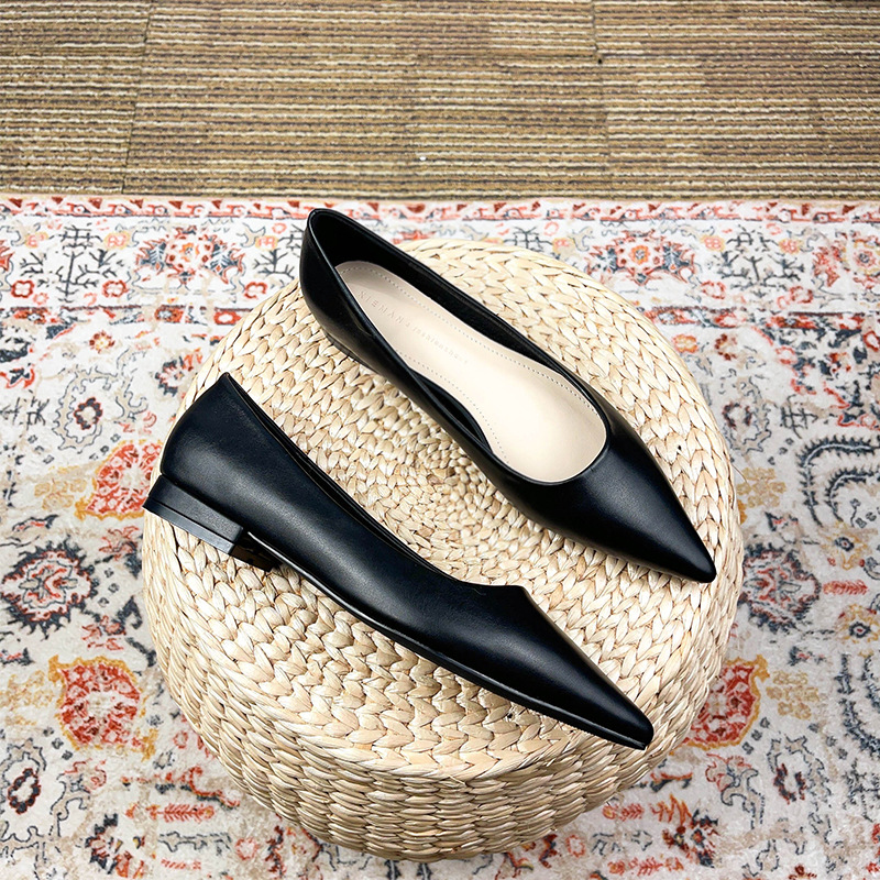 Professional Women's Flat Shoes With Pointed Toe In Black_voghion.com