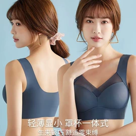 塑身裤;裹胸、抹胸;保暖马甲背心