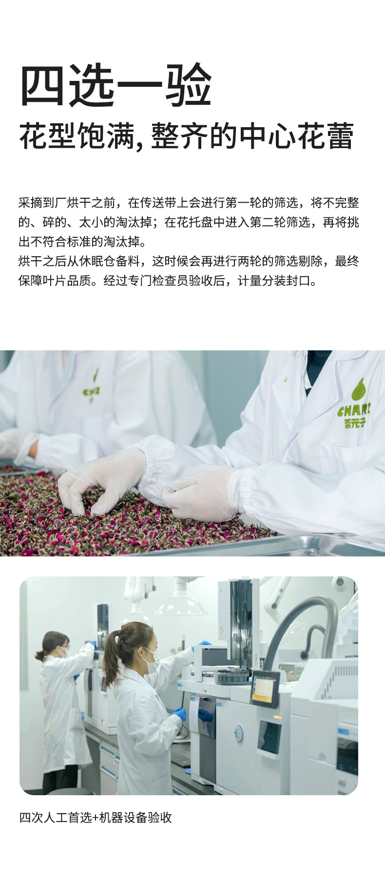 Lotus Leaf Tea He Ye Granules 250g Canister Traditional Herbal Flower Tea from Shandong Weishan Lake specifications