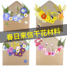 春日来信干花压花材料包七夕圣诞生日礼物相框信封押花送朋友闺蜜