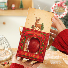 2025�¿�ƽ��ҹ�O�����}�Q���ǹ��ƽ�������b������С�Y�����l