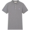 Three -color fox gray