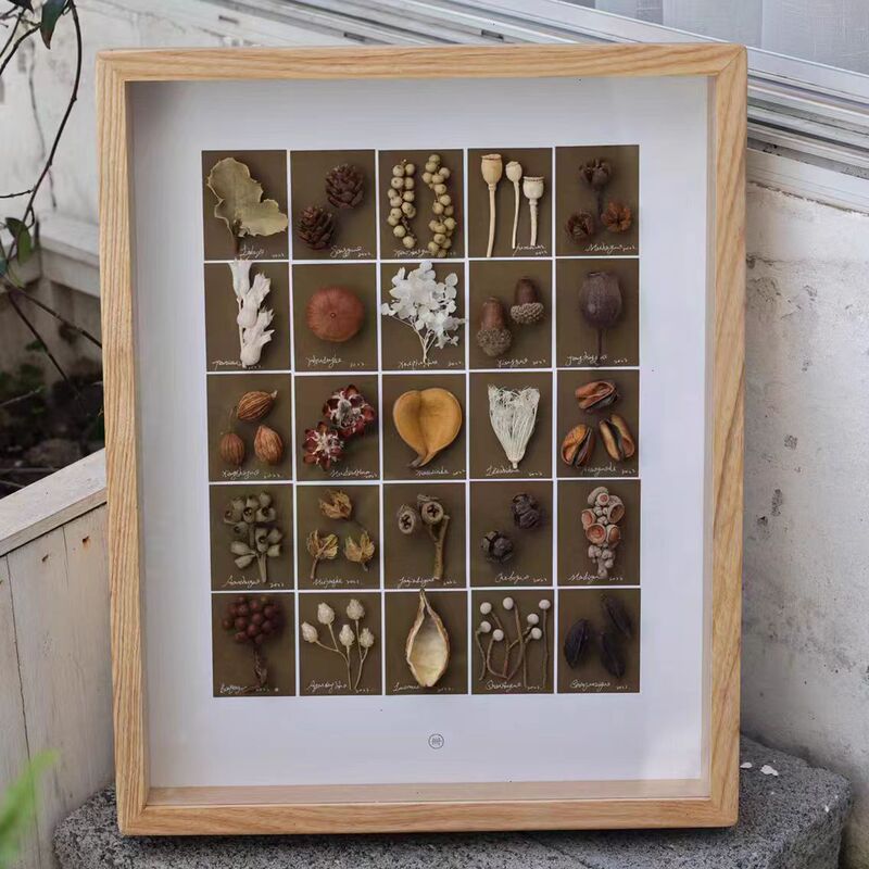 Three-Dimensional Hollow Dried Flower Specimen Photo Frame DIY Shell Seed Framed Decorative Picture Frame Hollow 3-5cm Table Customization