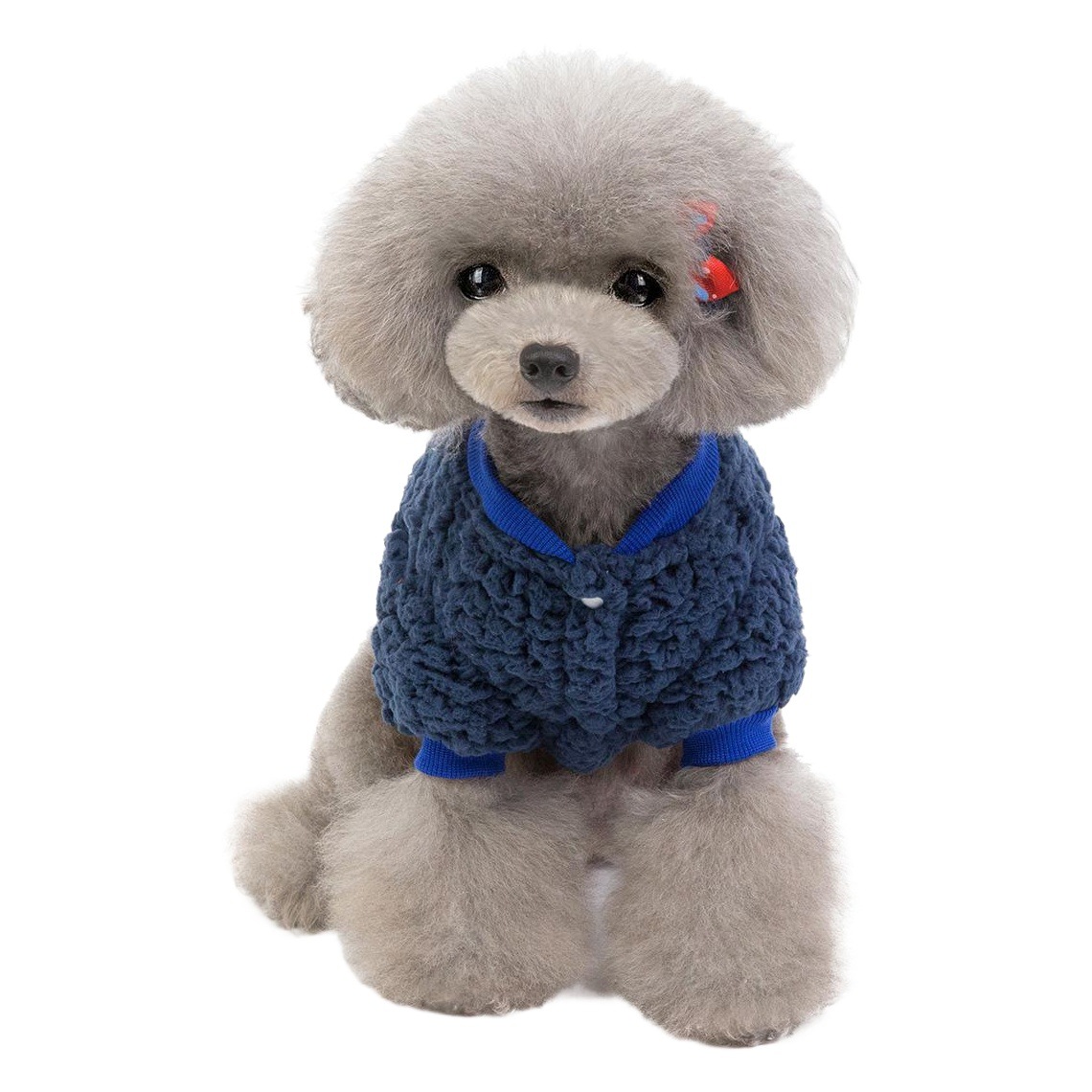 Ropa para mascotas gato ropa para perros Otoño e Invierno Nueva ropa para mascotas para perros de peluche versión gruesa ropa de terciopelo de dos patas