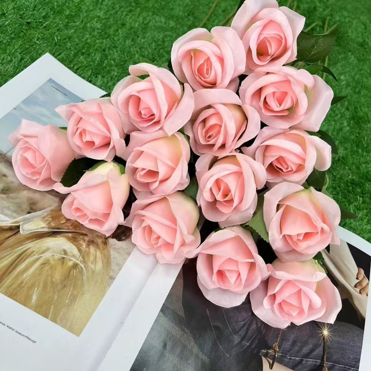 Single snow mountain rose-light pink