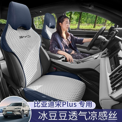 Four Seasons Pad: Cushion for Byd Song Plus