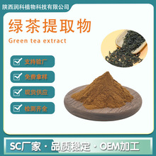 绿茶提取物/10:1茶多酚/原料粉末/sc厂家现货量大从优批发包邮