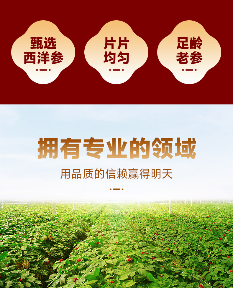 Canadian American Ginseng Slices Xi Yang Shen 500g Dried Root for Tea and Soup overview